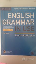 libro english grammar in use