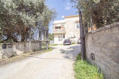 2 LOCALI A PALOMBARA SABINA