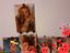 Immagine 1