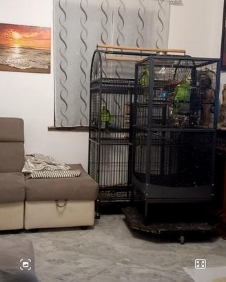 gabbia per pappagalli 