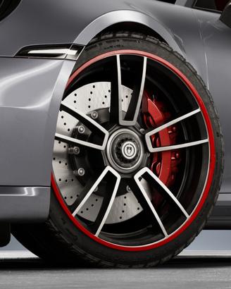 PROTEZIONE CERCHIO PRIORIM IN ALLUMINIO