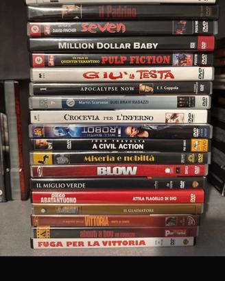 Lotto dvd