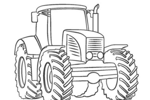 Trattore funzionante, lo vorrebbe mio marito