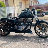 Magnifica Harley Sporster 883