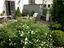 Immagine 14