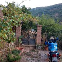 Terreno con ulivi e piante da frutto