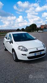Punto 2015 GPL unico proprietario