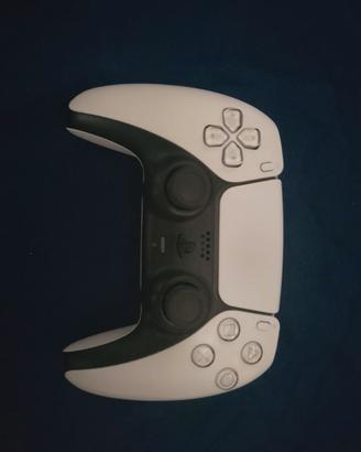 PS5 playstation 5 pad