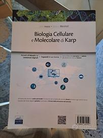 libro universitario 