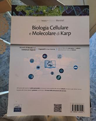 libro universitario 
