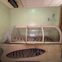 Hammam da massaggio + Scalda fango professionale