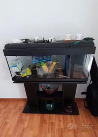 Acquario completo