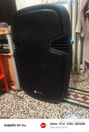 Cassa acustica