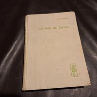 Montagna:"La valle del Cervino" 1962