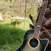 Applause by Ovation - Chitarra Acustca ⚡️⚡️⚡️