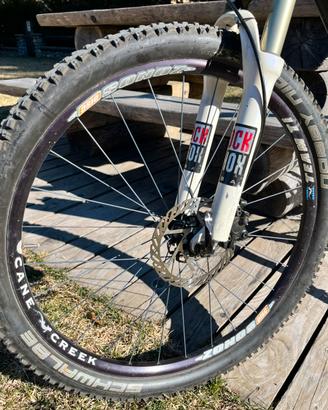 Cane Creek Zonos Team Ti – Raggi in Titanio - rare