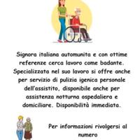 Badante