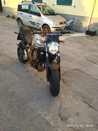 Fz6 edizione limitata