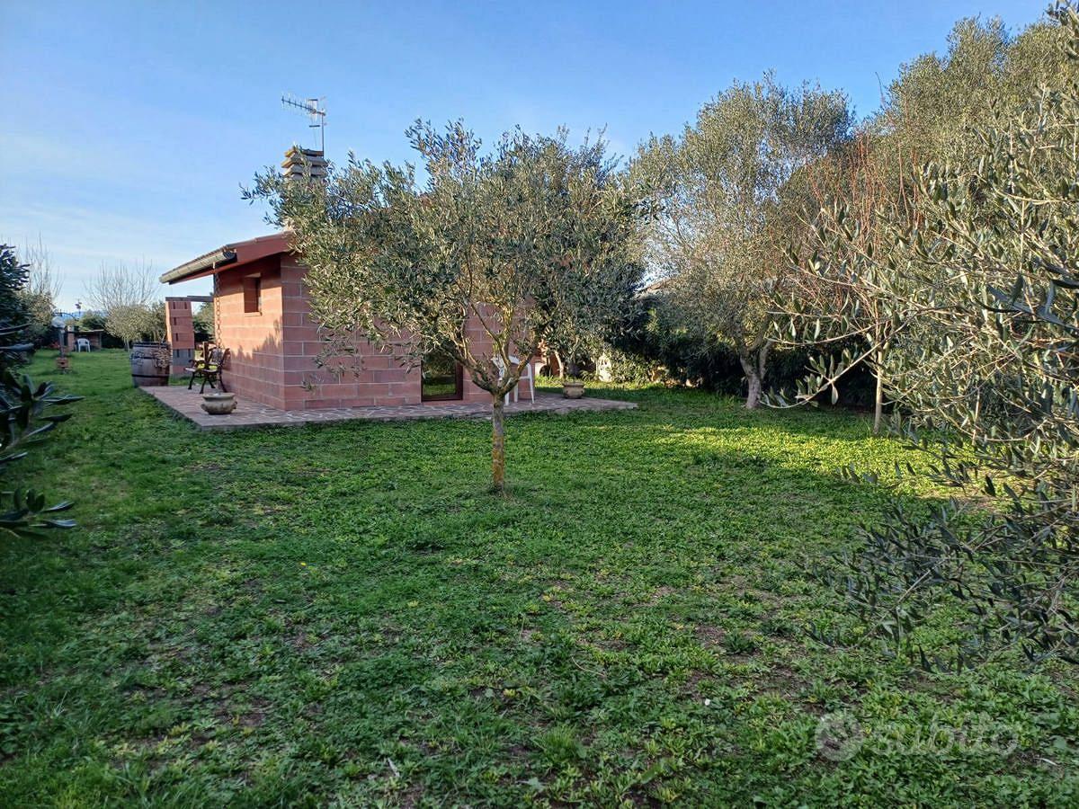 Terreno Agricolo Grosseto [Cod. rif 3131592VCG] - Altro