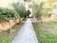 Immagine 15