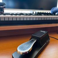 Pedale Sustain (Pianoforte)