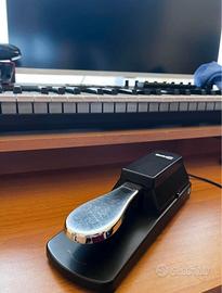 Pedale Sustain (Pianoforte)