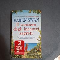 SWAN KAREN - Il sentiero degli incontri segreti
