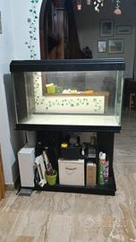 Acqua 250 litri con mobile