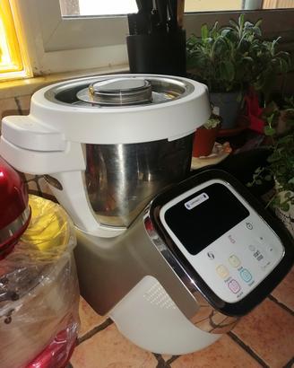 moulinex i- companion 
