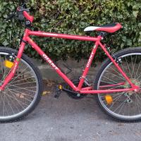 Bicicletta Mountain 26" Giant
