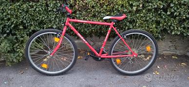 Bicicletta Mountain 26" Giant