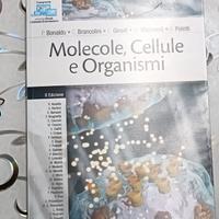 biologia molecole cellule organismi 2° edizione nu
