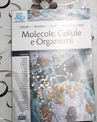 biologia molecole cellule organismi 2° edizione nu