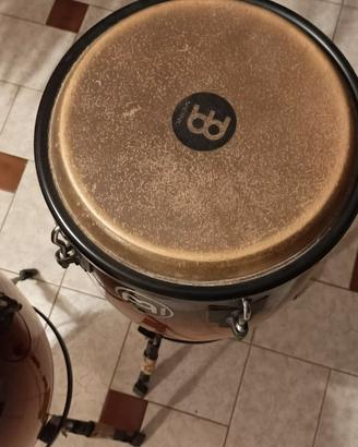 CONGAS