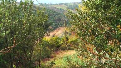 TER. AGRICOLO A SANTA MARINELLA