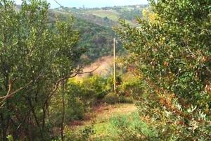 TER. AGRICOLO A SANTA MARINELLA