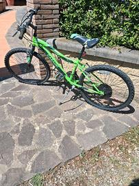 Mountain Bike Casadei 6 velocità