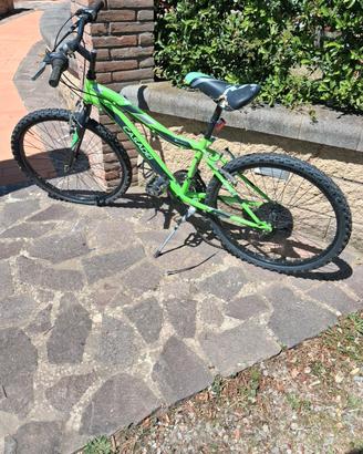 Mountain Bike Casadei 6 velocità