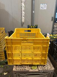 Cassette di plastica