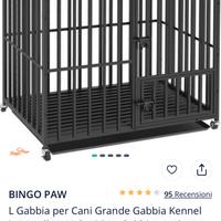 Kennel