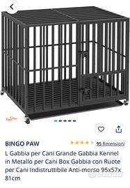 Kennel