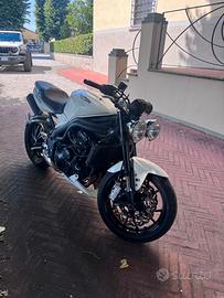Speed triple 1050 triumph