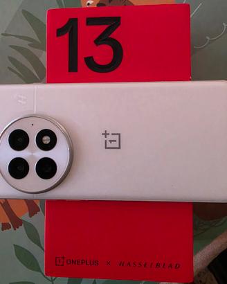 Oneplus 13