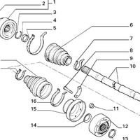 Semiassi posteriori Lancia delta integrale