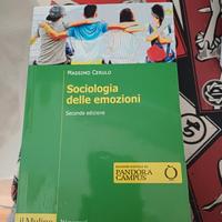 sociologia delle emozioni
