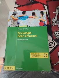 sociologia delle emozioni