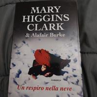 libro. un respiro nella neve