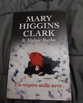 libro. un respiro nella neve