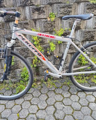 mountain bike