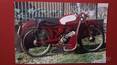Moto Guzzi Cardellino cc73